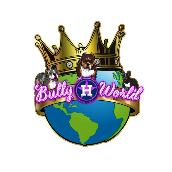 Bully World LLC